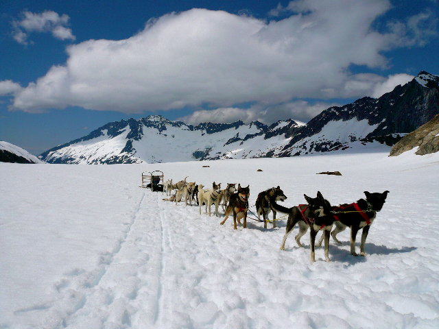 Extended Helicopter Excursion Glacier Landing and Dog Sledding